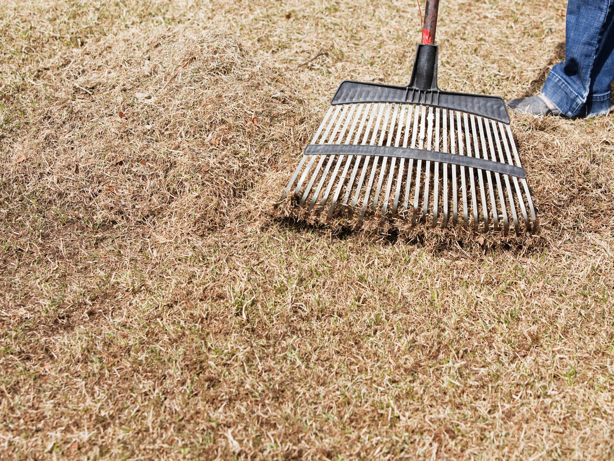 Dethatching And Aerating Your Lawn Sunset Magazine
