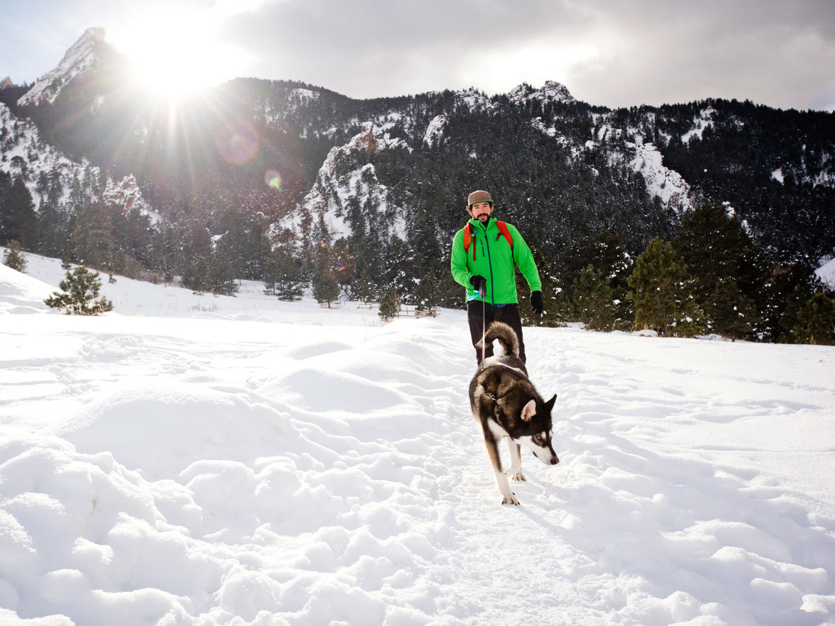 Best Places To Eat In Boulder With Your Dog Best Places To Eat In Boulder With Your Dog