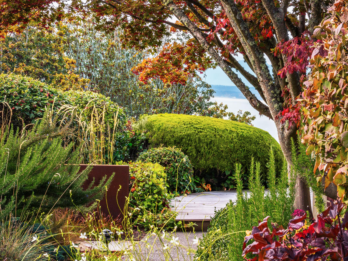 3 Ways to Maximize Fall Color in Your Garden