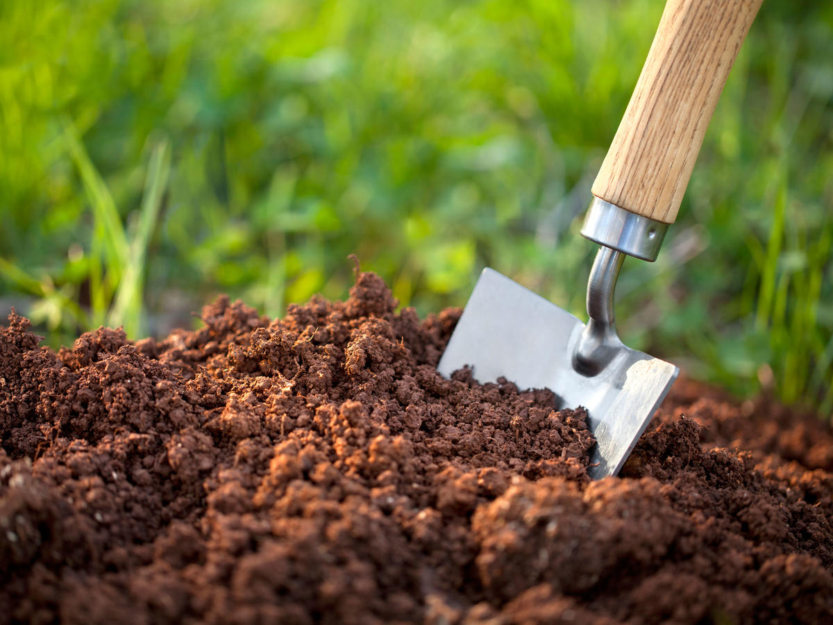 Soil shovel discount