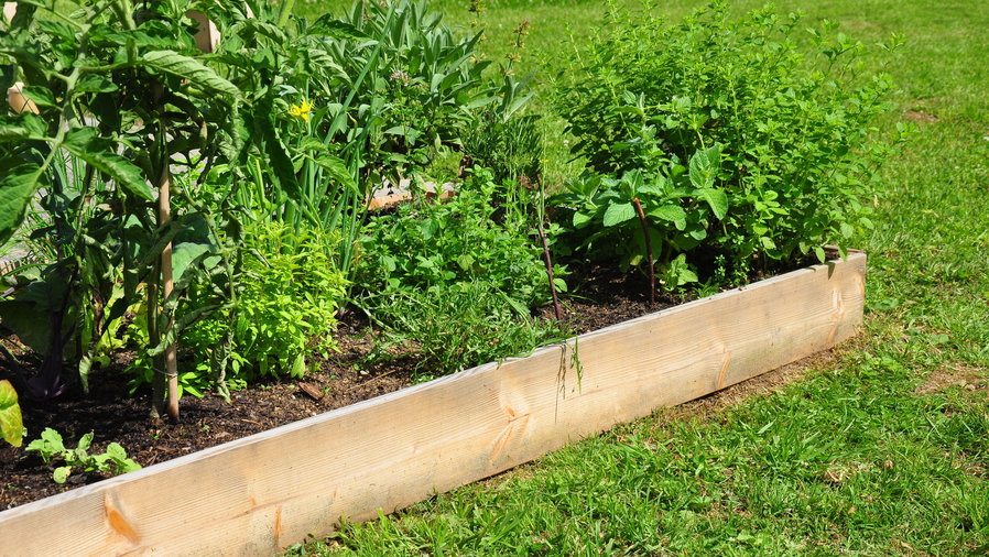 12 DIY Vegetable Garden Ideas - Bob Vila