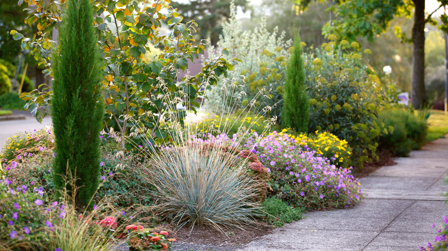 driveway and entrance with series 3000 paver by unilock