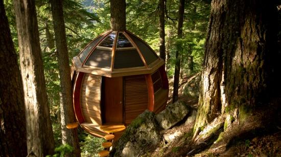 A (Not so) Top-Secret Canadian Treehouse