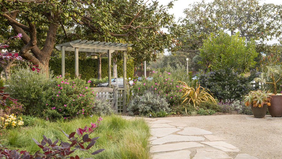 How Much Water Can You Save By Removing the Lawn?