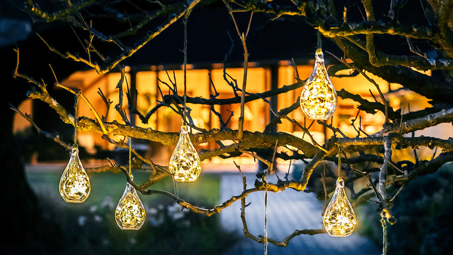 How To Put Christmas Lights On A Tall Tree Outside