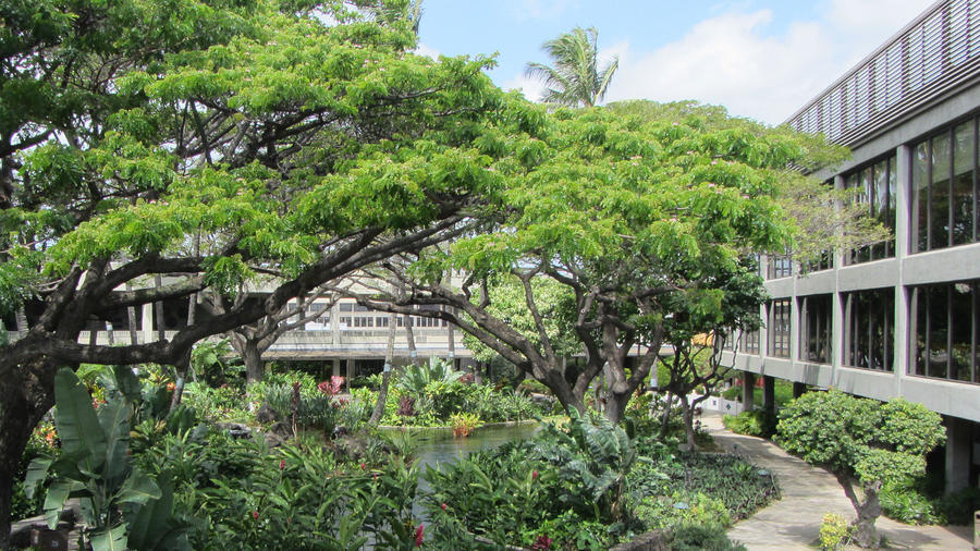 Honolulu International Airport Guide
