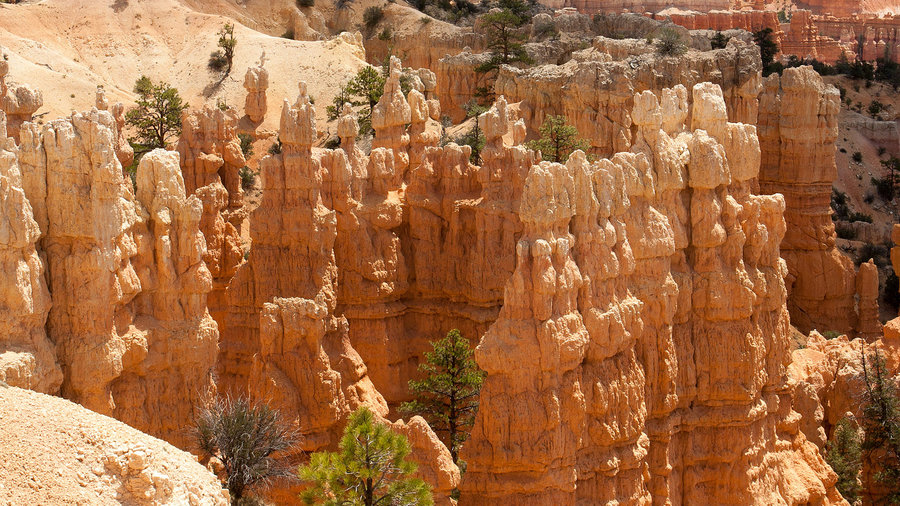 Best Activities in Bryce Canyon N.P.