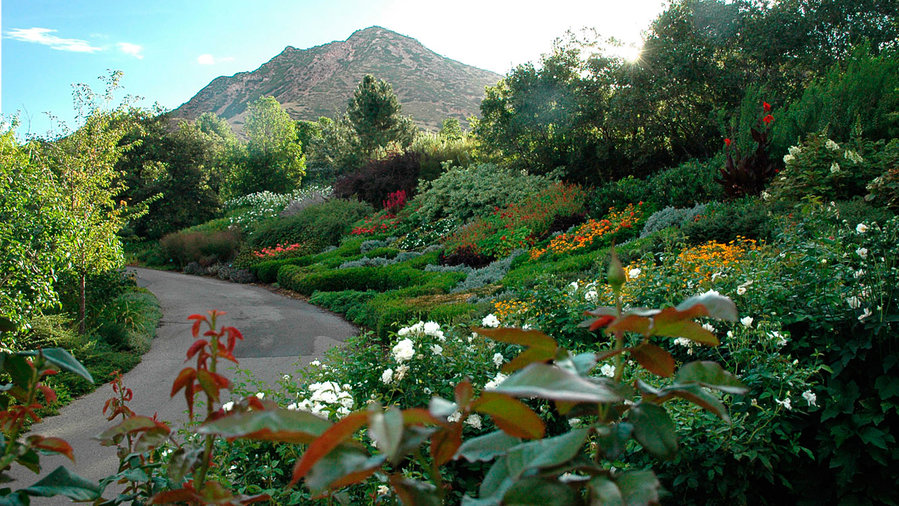 15 Beautiful Botanical Gardens - Sunset Magazine - Sunset Magazine