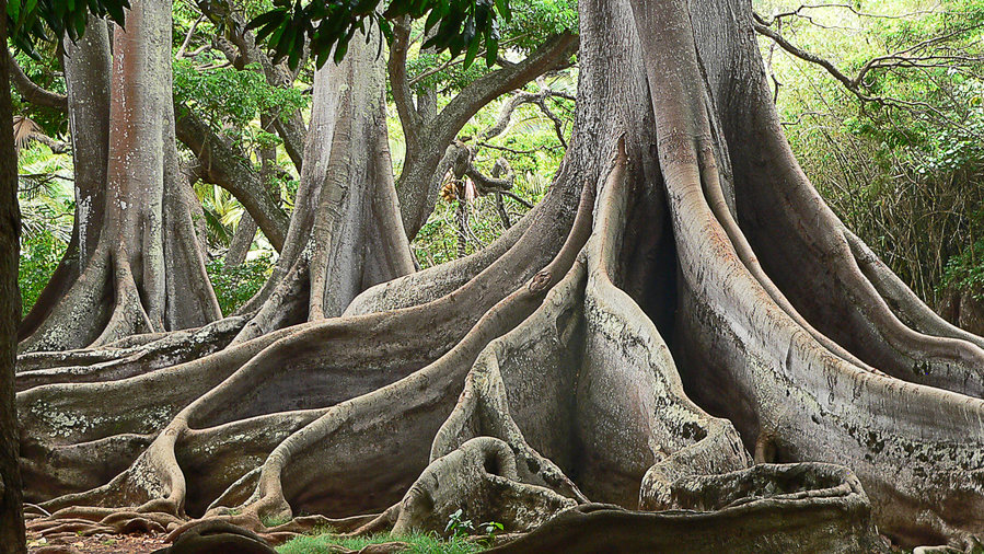 15 Beautiful Botanical Gardens - Sunset Magazine - Sunset Magazine