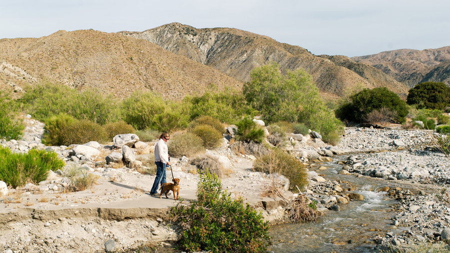 Person hiking with dog at Mission Creek Preserve, one of the best hikes in California