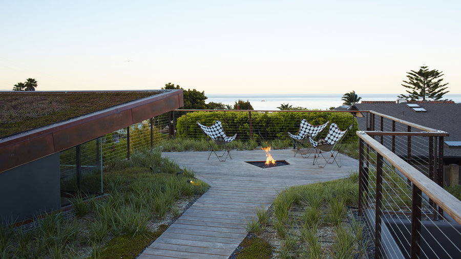 how-long-will-it-take-to-grow-in