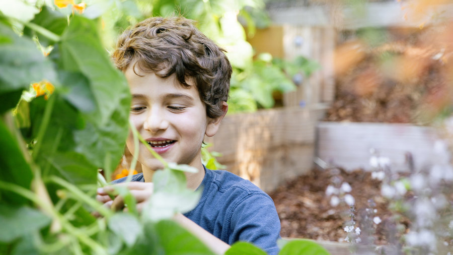 dont-take-it-too-seriously