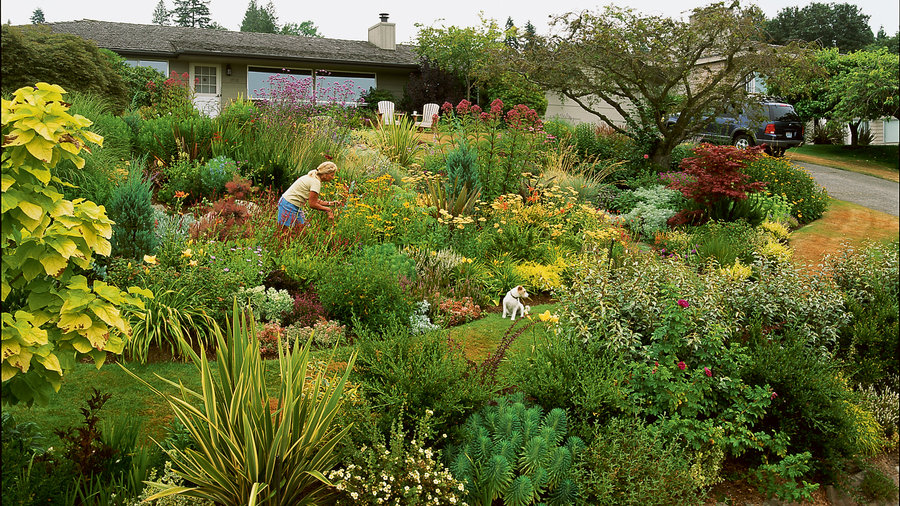 Landscaping without Grass - Sunset Magazine