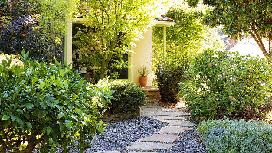 7 Inspiring Lawn-Free Yards - Sunset Magazine - Sunset Magazine