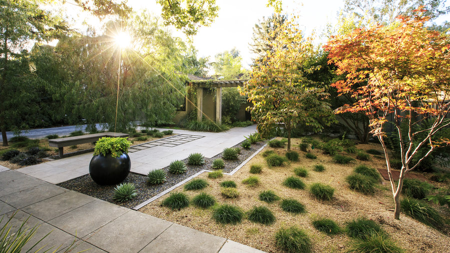 Landscaping Without Grass Sunset Magazine