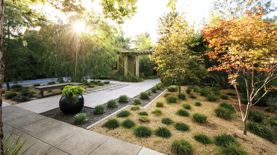 Featured image of post Front Yard Designs Without Grass - Lawns originated as grassed enclosures for feeding livestock, most often as communal grounds in rural towns and cities.