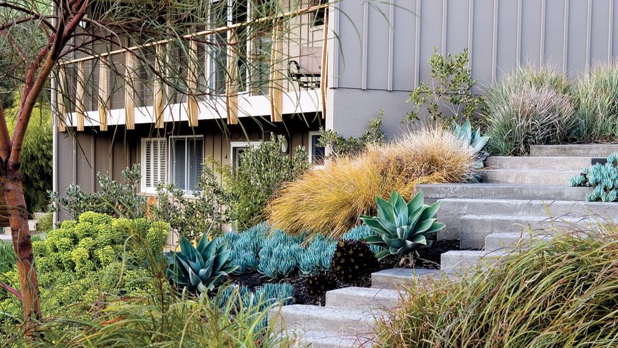 landscaping with ornamental grass