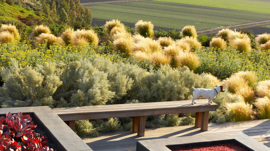 what-can-i-do-with-this-space