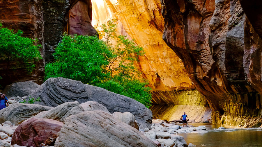 Zion Narrows view of canyons on one of the best hikes in the park