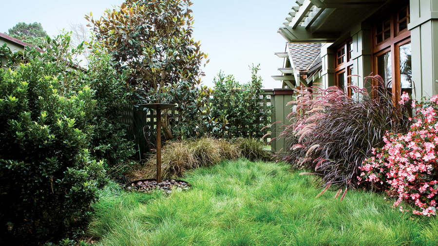 7 Inspiring Lawn-Free Yards - Sunset Magazine - Sunset Magazine