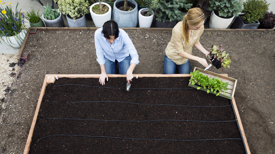 Step-by-Step: Build the Ultimate Raised Bed