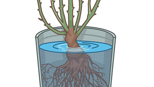 plus-5-essential-items-for-winter-garden-upkeep