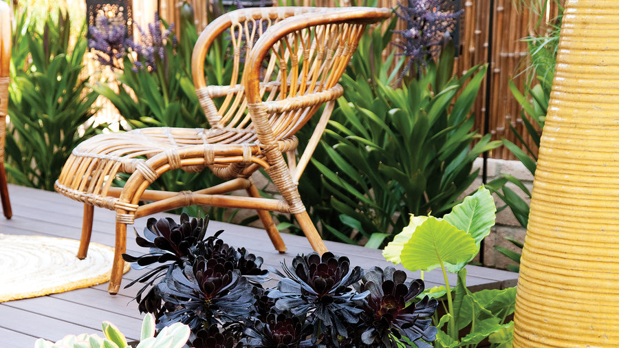 plant-a-pocket-garden