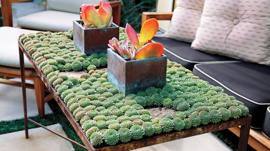 make-a-table-planter