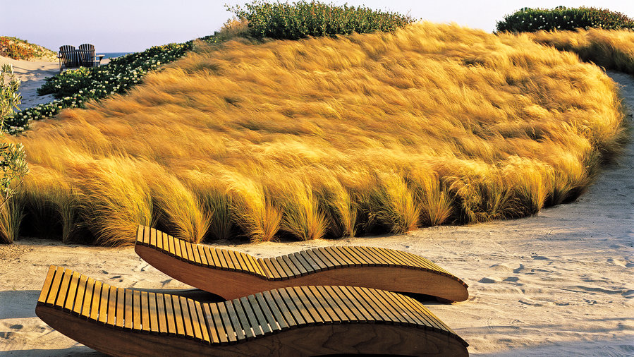 throw-down-a-grass-rug