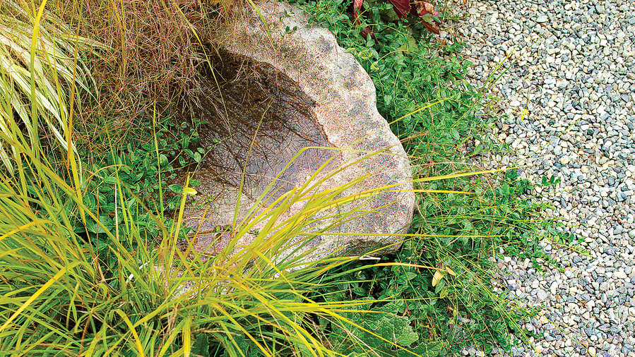 soften-a-path-with-plants