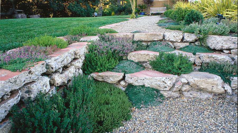soften-a-path-with-plants