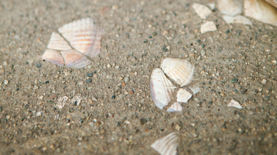 beach-up-some-paving