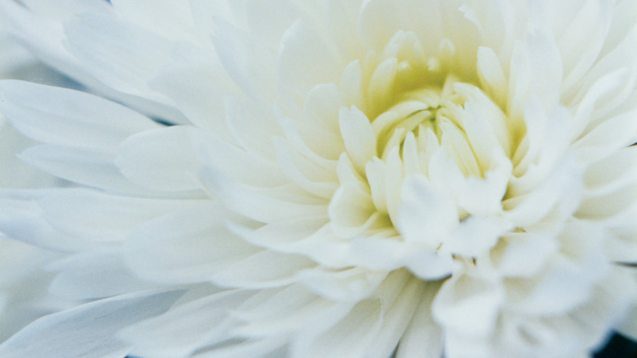 add-touches-of-winter-white