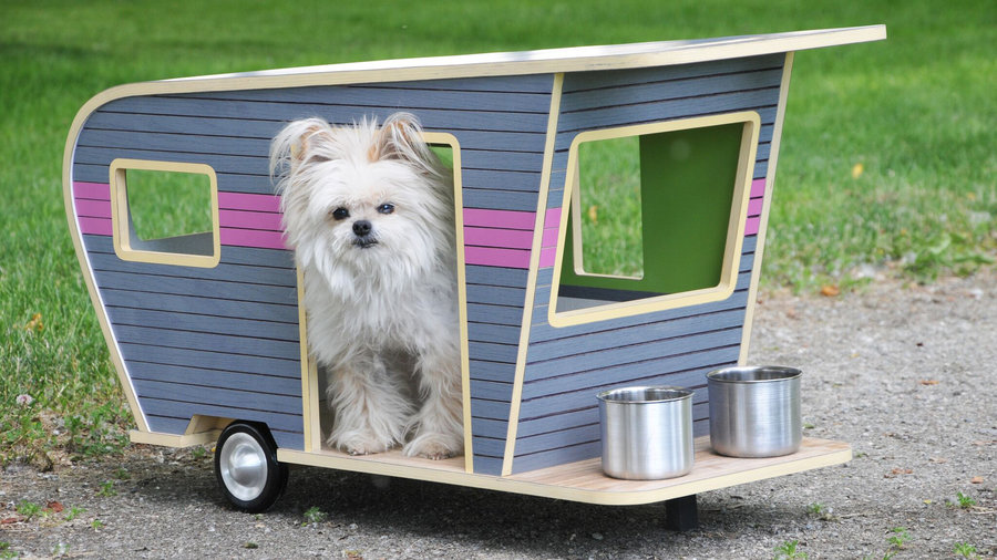 Featured image of post Pink Dog Houses Free for commercial use no attribution required high quality images