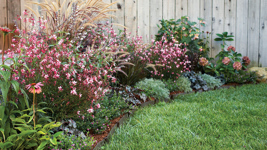 3 Colorful, Easy-Care Spring Borders