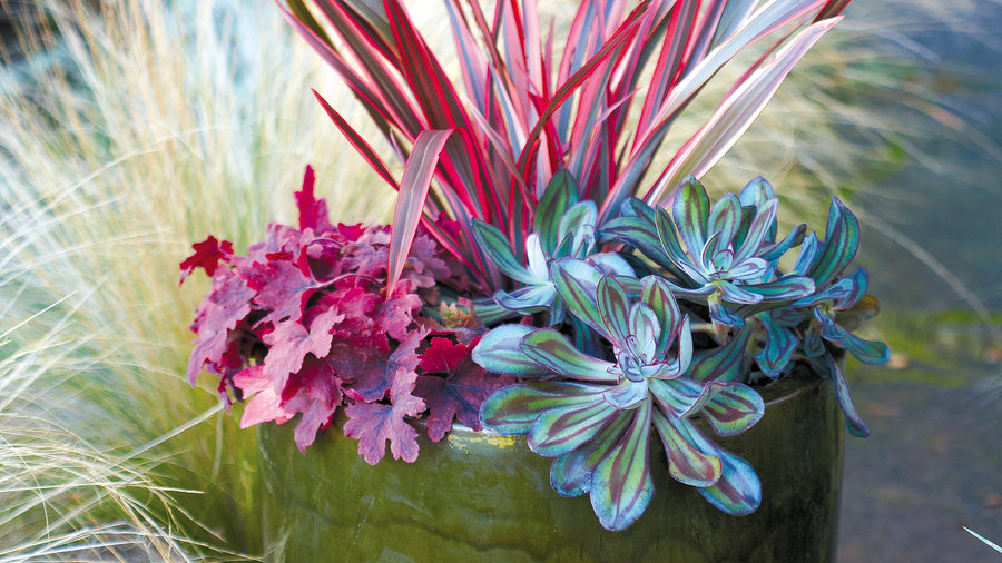 Coolest Container Gardens 58 Ideas For Decks Entryways Yards Sunset Coolest Container Gardens 58 Ideas For, Flower Container Gardening Ideas