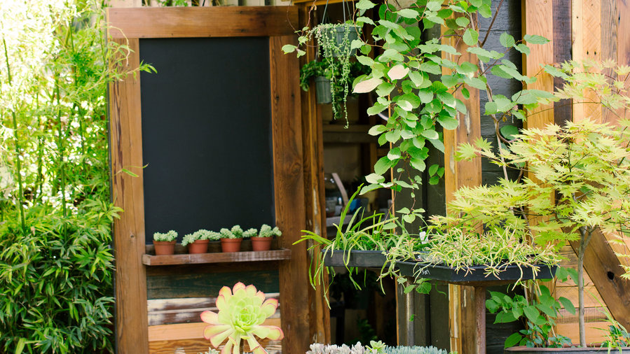 Get Inspired by an Amazing Water Garden - Sunset Magazine ...