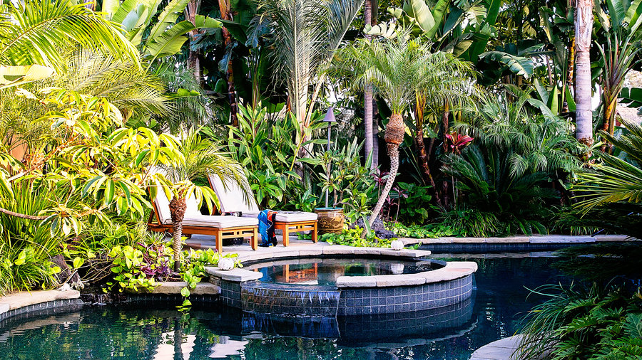 How to Design a Lush Tropical Retreat
