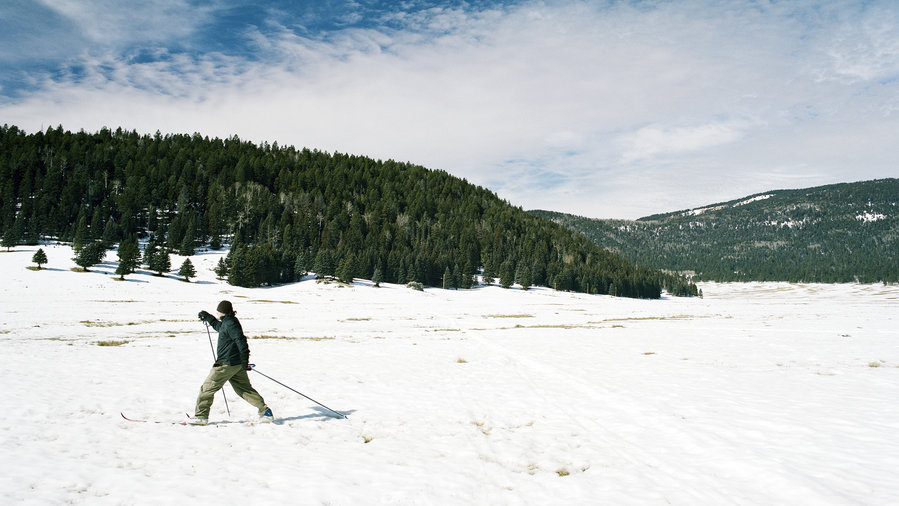 Cross-country skiing in History Grove in Valles Caldera, NM