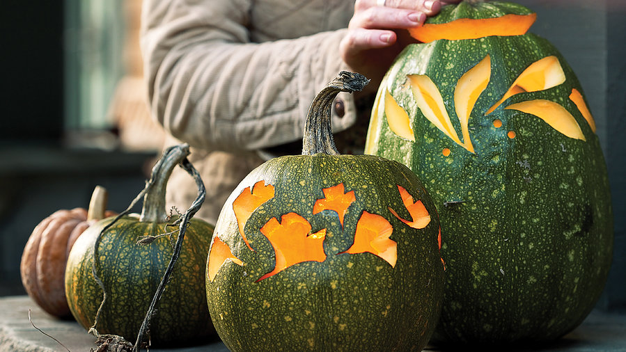 Pumpkin Carving Ideas - Sunset Magazine