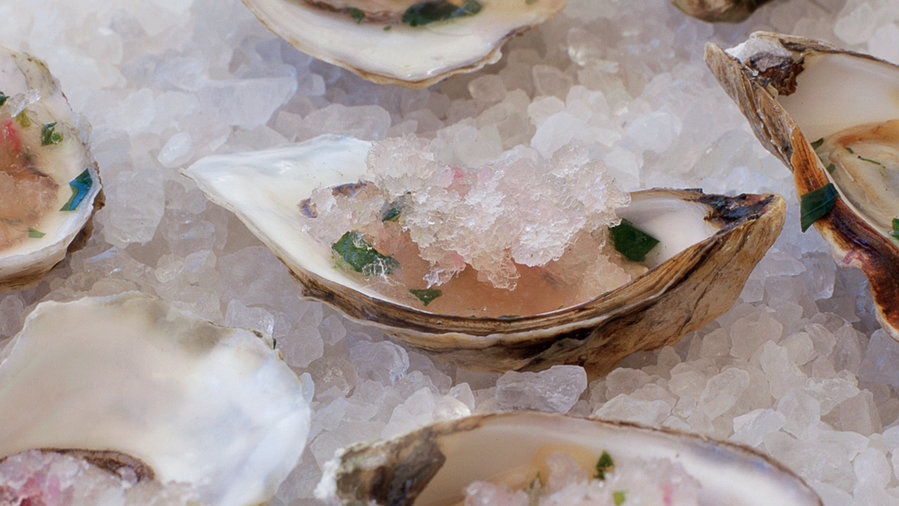 Oysters on the Half-Shell with Grapefruit Granita