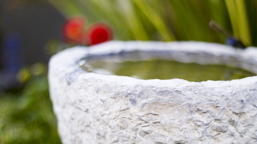 how-to-maximize-a-small-garden