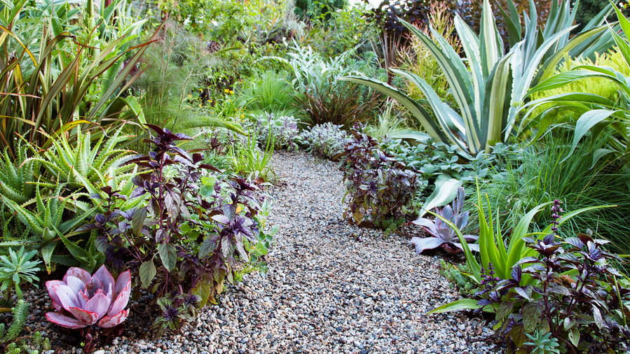 Edible Landscape Ideas Sunset Magazine