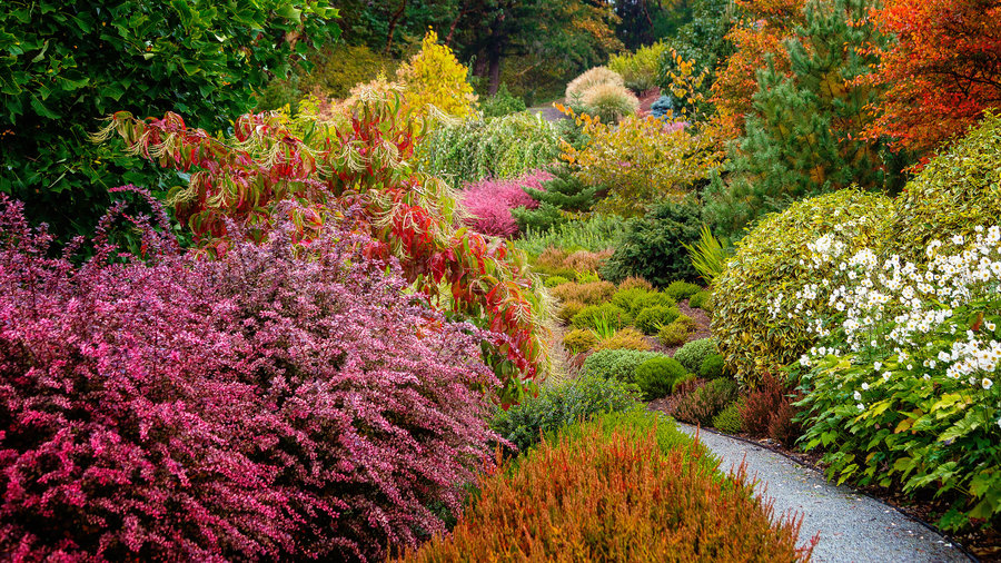 6 Lessons for a Stunning Fall Garden