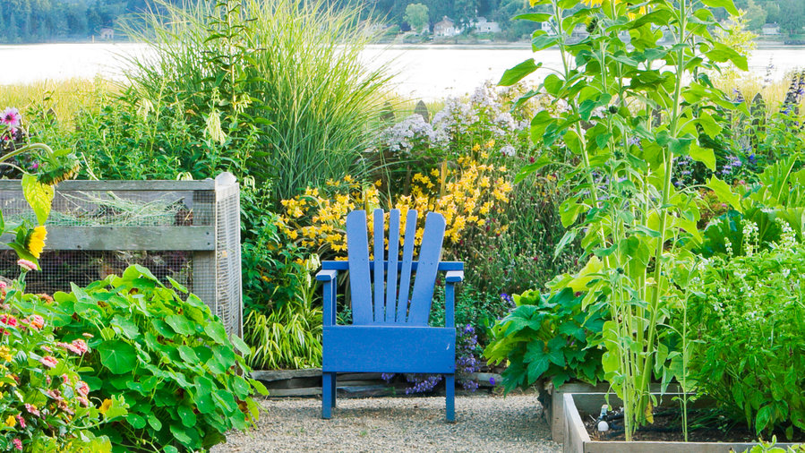 inviting-focal-points