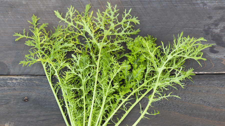 lime-streaked-mizuna