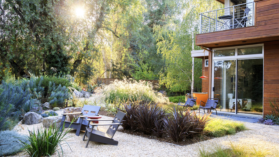 a-study-in-contrasts