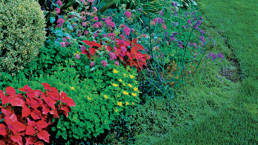 20 Garden Border Designs Sunset Magazine Sunset Magazine