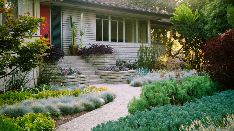 Favorite Front Yard Desgn Ideas, Front Yard Modern Landscaping Plants Design