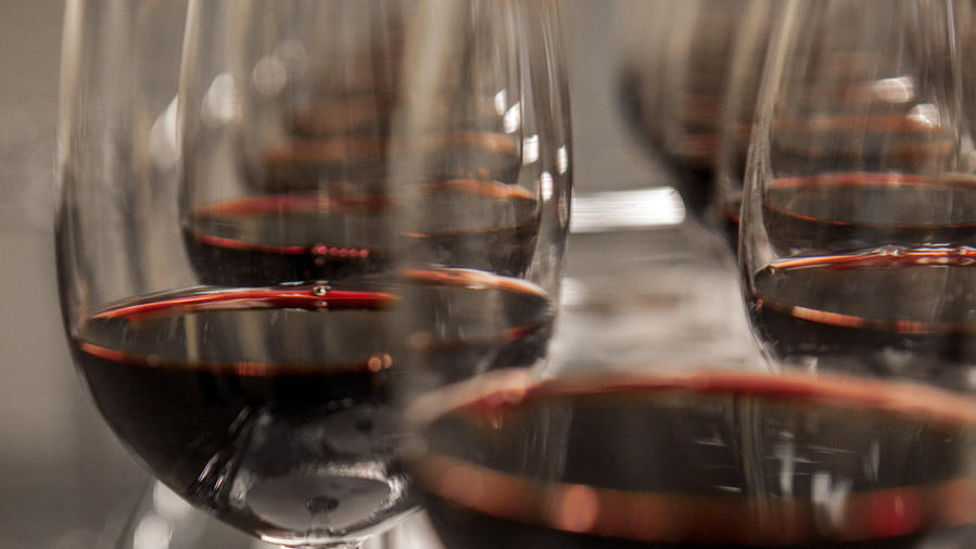 Winemaking 101